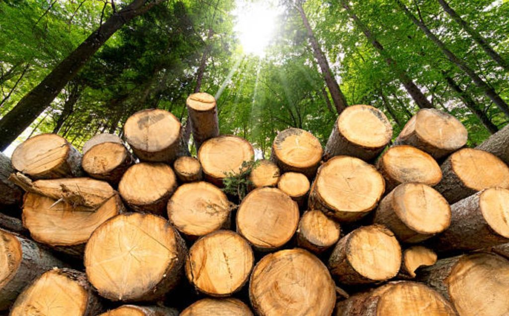 Prefab Homes in Hyderabad